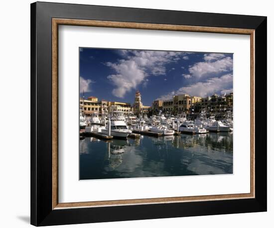 Marina, Cabo San Lucas, Baja California, Mexico-Walter Bibikow-Framed Photographic Print