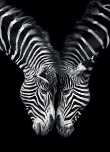 Together by Marina Cano