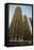 Marina City Chicago-Steve Gadomski-Framed Premier Image Canvas