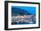 Marina de Forio, Forio Harbour and Beach, Forio, Island of Ischia, Campania, Italy, Europe-Neil Farrin-Framed Photographic Print