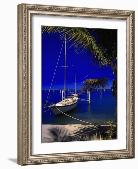 Marina De La Paz, Baja California, Mexico-Walter Bibikow-Framed Photographic Print