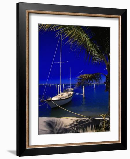 Marina De La Paz, Baja California, Mexico-Walter Bibikow-Framed Photographic Print