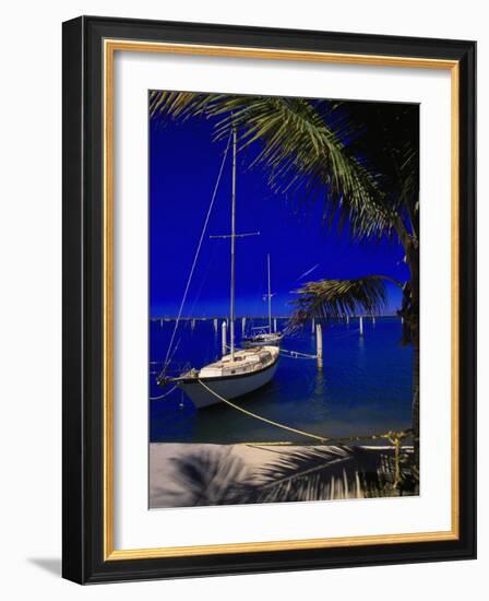 Marina De La Paz, Baja California, Mexico-Walter Bibikow-Framed Photographic Print