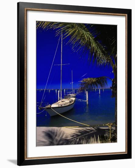 Marina De La Paz, Baja California, Mexico-Walter Bibikow-Framed Photographic Print