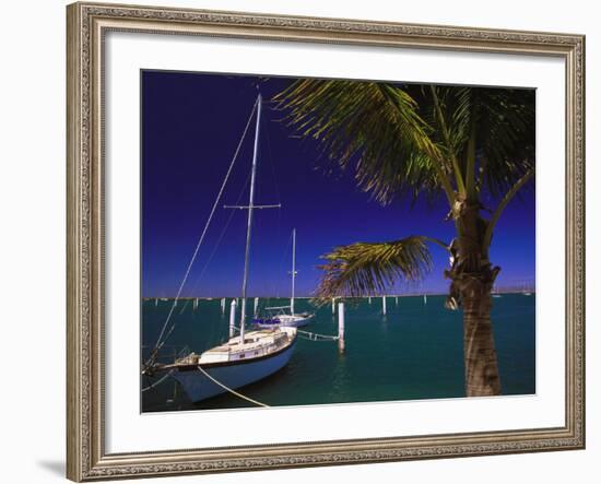 Marina De La Paz, Baja California, Mexico-Walter Bibikow-Framed Photographic Print