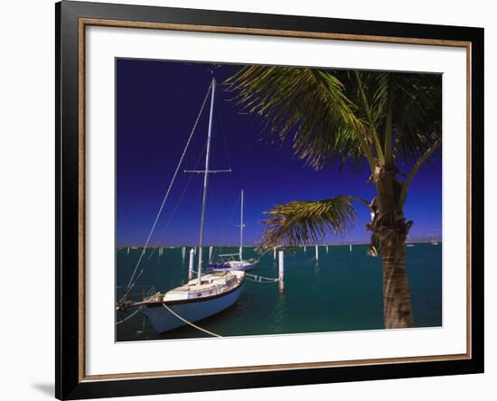 Marina De La Paz, Baja California, Mexico-Walter Bibikow-Framed Photographic Print