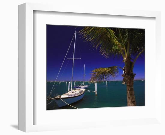 Marina De La Paz, Baja California, Mexico-Walter Bibikow-Framed Photographic Print