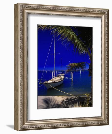 Marina De La Paz, Baja California, Mexico-Walter Bibikow-Framed Photographic Print