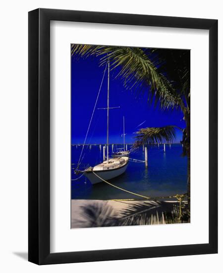 Marina De La Paz, Baja California, Mexico-Walter Bibikow-Framed Photographic Print