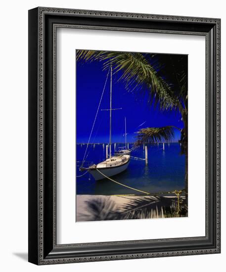 Marina De La Paz, Baja California, Mexico-Walter Bibikow-Framed Photographic Print