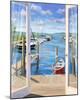 Marina Deck-Carol Saxe-Mounted Art Print