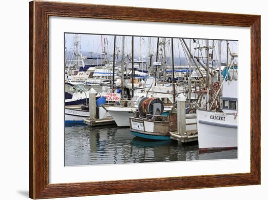 Marina in Pillar Point Harbor, Half Moon Bay, California, United States of America, North America-Richard Cummins-Framed Photographic Print