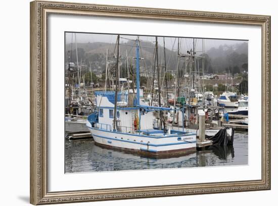 Marina in Pillar Point Harbor, Half Moon Bay, California, United States of America, North America-Richard Cummins-Framed Photographic Print