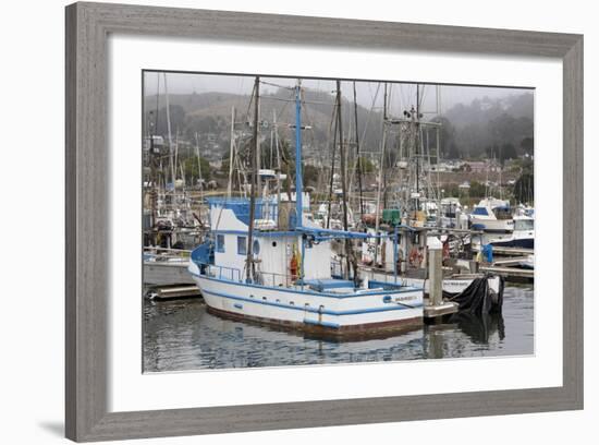 Marina in Pillar Point Harbor, Half Moon Bay, California, United States of America, North America-Richard Cummins-Framed Photographic Print