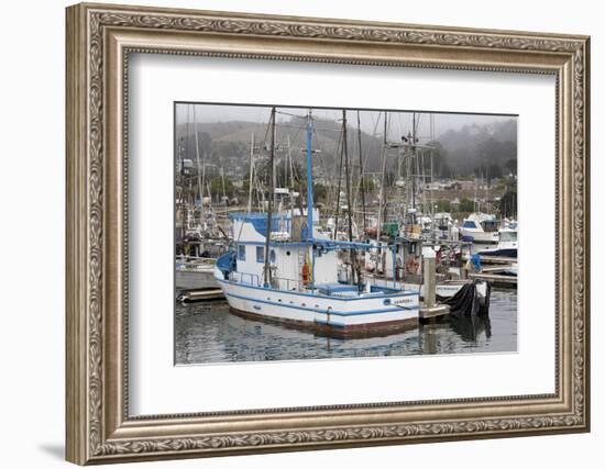 Marina in Pillar Point Harbor, Half Moon Bay, California, United States of America, North America-Richard Cummins-Framed Photographic Print