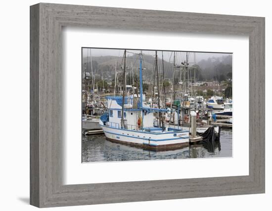 Marina in Pillar Point Harbor, Half Moon Bay, California, United States of America, North America-Richard Cummins-Framed Photographic Print