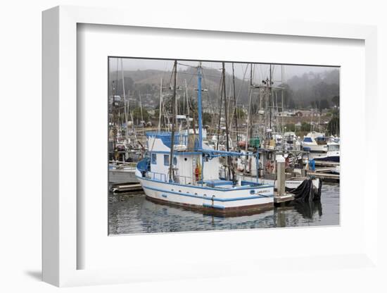 Marina in Pillar Point Harbor, Half Moon Bay, California, United States of America, North America-Richard Cummins-Framed Photographic Print