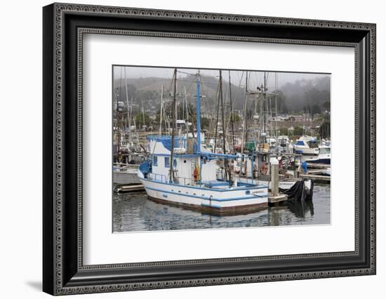 Marina in Pillar Point Harbor, Half Moon Bay, California, United States of America, North America-Richard Cummins-Framed Photographic Print