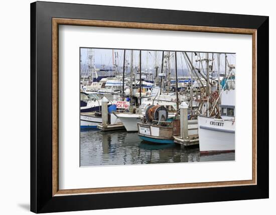 Marina in Pillar Point Harbor, Half Moon Bay, California, United States of America, North America-Richard Cummins-Framed Photographic Print