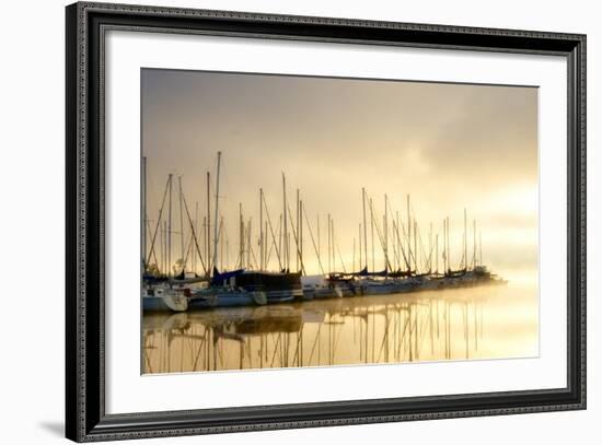 Marina Morning I-Danny Head-Framed Photographic Print