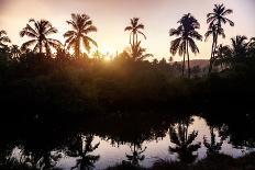 Tropical Village in Goa-Marina Pissarova-Photographic Print