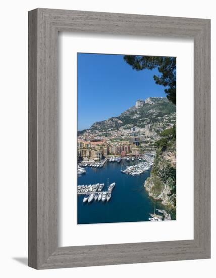 Marina, Port de Fontvieille, Fontvieille, Monaco, Cote d'Azur-Lisa S. Engelbrecht-Framed Photographic Print