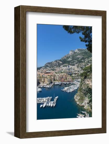 Marina, Port de Fontvieille, Fontvieille, Monaco, Cote d'Azur-Lisa S. Engelbrecht-Framed Photographic Print