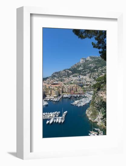 Marina, Port de Fontvieille, Fontvieille, Monaco, Cote d'Azur-Lisa S. Engelbrecht-Framed Photographic Print