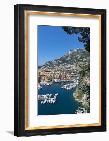 Marina, Port de Fontvieille, Fontvieille, Monaco, Cote d'Azur-Lisa S. Engelbrecht-Framed Photographic Print