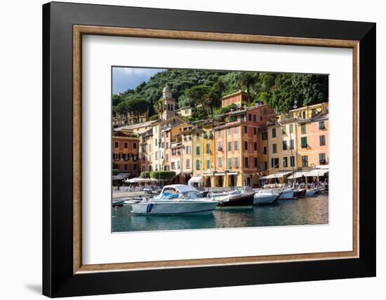 Marina, Portofino, Liguria, Italy, Europe-Peter Groenendijk-Framed Photographic Print
