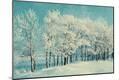 Photographic Print