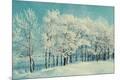 Photographic Print