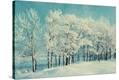 Stretched Canvas Print