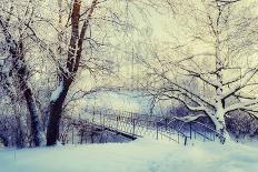 Winter Landscape of Snowy Tree Branches against Colorful Sky during the Snowfall with Free Space Fo-Marina Zezelina-Photographic Print