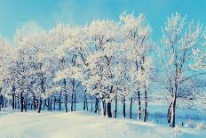 Winter Landscape in Vintage Tones - Frosty Bare Trees and Old Snowy Metal Bridge in the Cloudy Park-Marina Zezelina-Framed Photographic Print