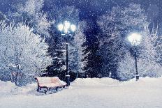 Winter Night Landscape Scene of Snow Covered Bench among Snowy Trees and Shining Lights during Snow-Marina Zezelina-Photographic Print