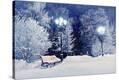 Stretched Canvas Print