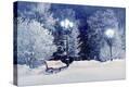 Stretched Canvas Print