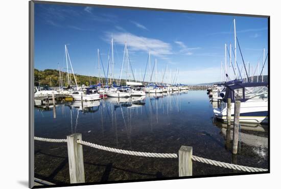 Marina-Michael Shake-Mounted Photographic Print