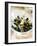 Marinated Mussels-Ian Garlick-Framed Photographic Print