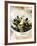 Marinated Mussels-Ian Garlick-Framed Photographic Print