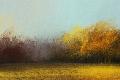 Premium Photographic Print