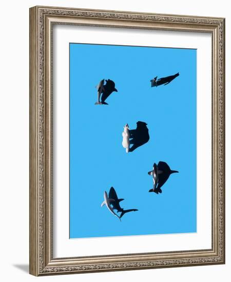 Marine Animals and Polar Bear Shot from Overhead-Eugenio Franchi-Framed Photographic Print