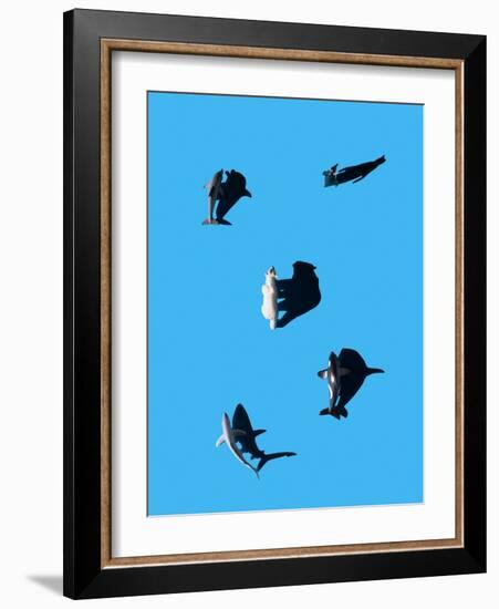 Marine Animals and Polar Bear Shot from Overhead-Eugenio Franchi-Framed Photographic Print