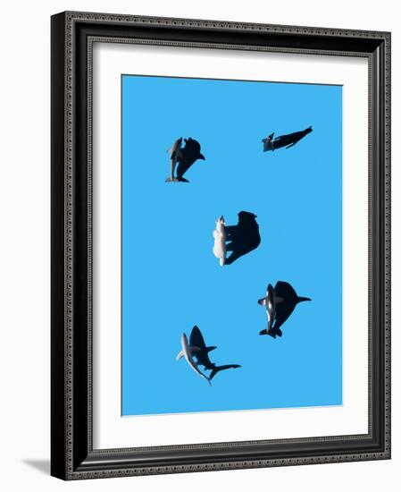 Marine Animals and Polar Bear Shot from Overhead-Eugenio Franchi-Framed Photographic Print