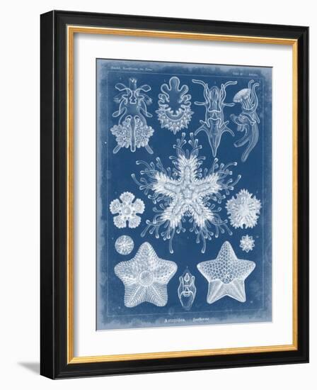 Marine Blueprint III-Vision Studio-Framed Art Print