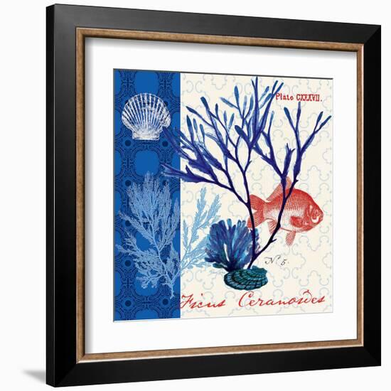 Marine Botanical-Devon Ross-Framed Art Print