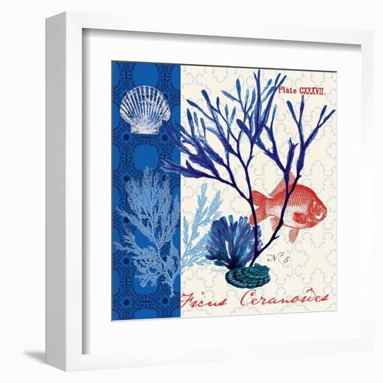 Marine Botanical-Devon Ross-Framed Art Print