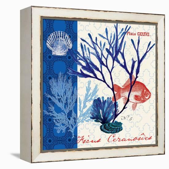 Marine Botanical-Devon Ross-Framed Stretched Canvas