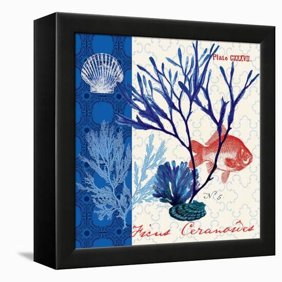 Marine Botanical-Devon Ross-Framed Stretched Canvas